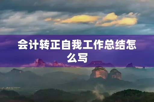 会计转正自我工作总结怎么写