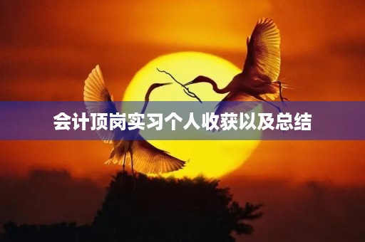 会计顶岗实习个人收获以及总结