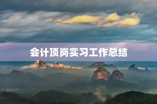 会计顶岗实习工作总结