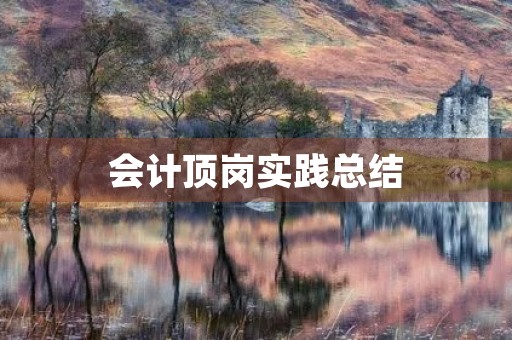 会计顶岗实践总结