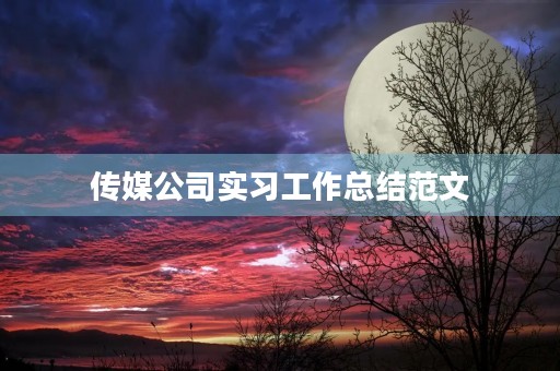 传媒公司实习工作总结范文 传媒公司实习工作总结范文