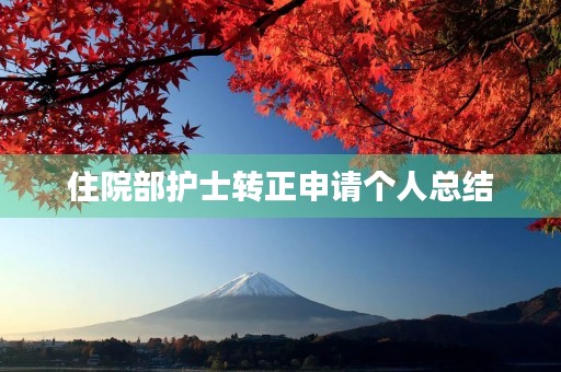 住院部护士转正申请个人总结