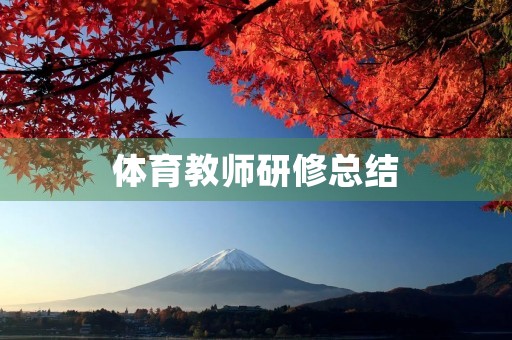 体育教师研修总结