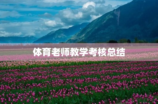 体育老师教学考核总结（7篇）