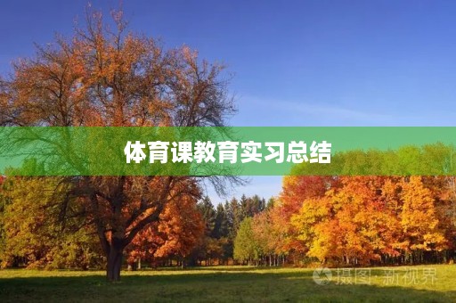 体育课教育实习总结 体育课教育实习总结