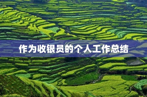 作为收银员的个人工作总结