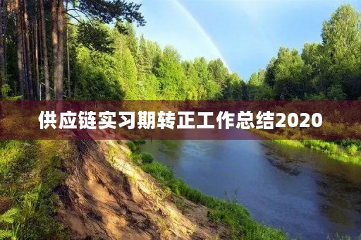 供应链实习期转正工作总结2020 供应链实习期转正工作总结2020