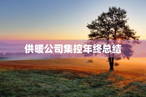 供暖公司集控年终总结
