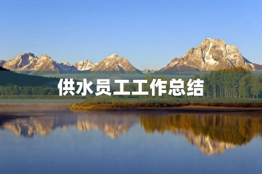 供水员工工作总结