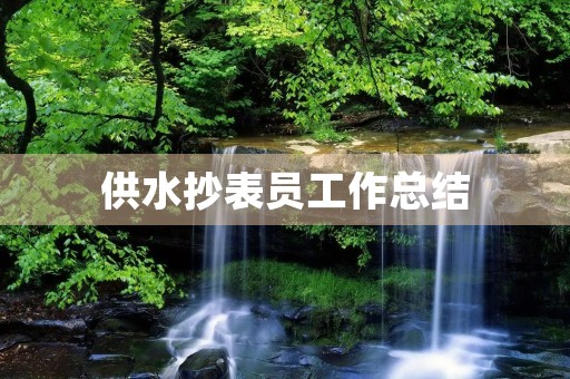 供水抄表员工作总结