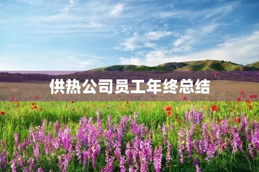 供热公司员工年终总结