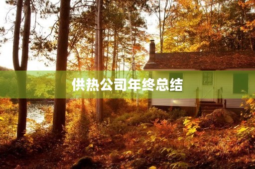供热公司年终总结