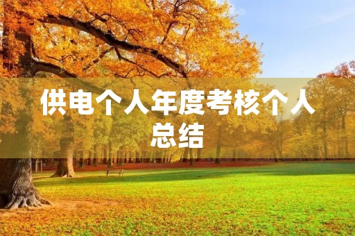 供电个人年度考核个人总结