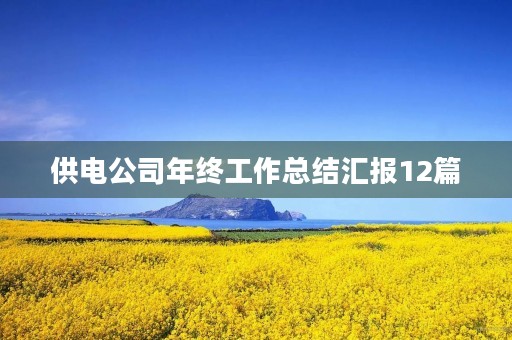 供电公司年终工作总结汇报12篇