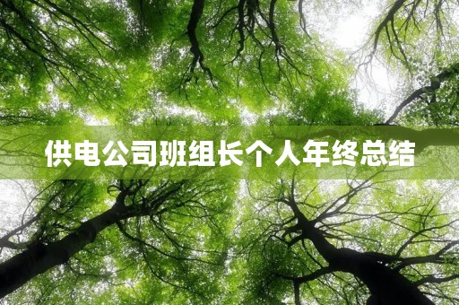 供电公司班组长个人年终总结