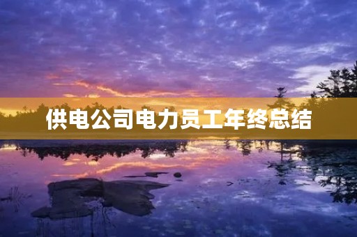 供电公司电力员工年终总结