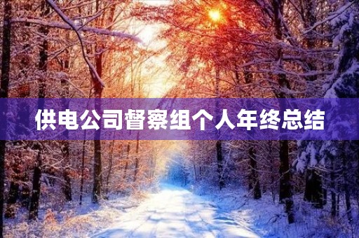 供电公司督察组个人年终总结