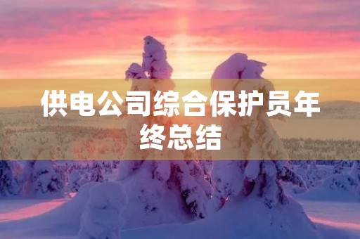 供电公司综合保护员年终总结