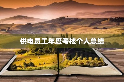 供电员工年度考核个人总结