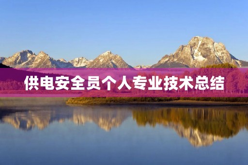 供电安全员个人专业技术总结 供电安全员个人专业技术总结