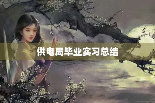 供电局毕业实习总结 供电局毕业实习总结