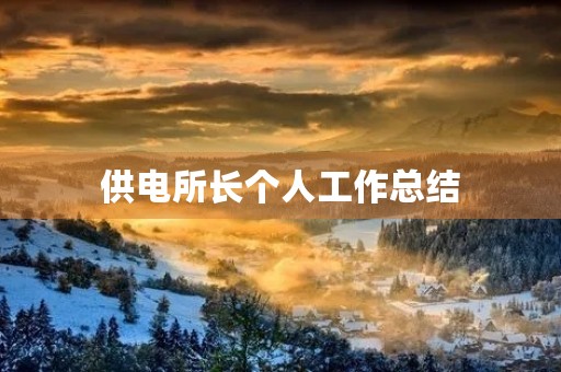 供电所长个人工作总结