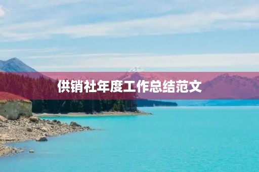 供销社年度工作总结范文