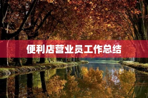 便利店营业员工作总结