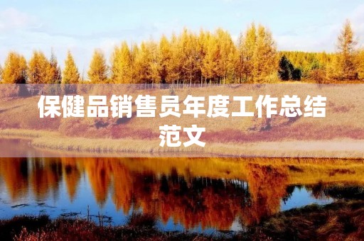 保健品销售员年度工作总结范文