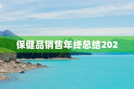 保健品销售年终总结2020