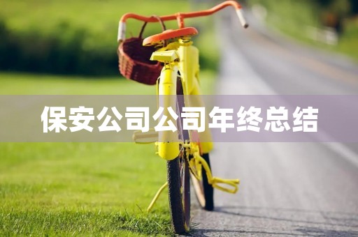 保安公司公司年终总结