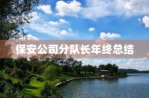 保安公司分队长年终总结