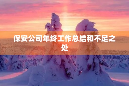 保安公司年终工作总结和不足之处（20篇）
