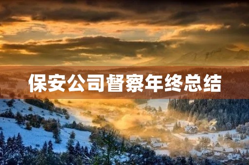 保安公司督察年终总结