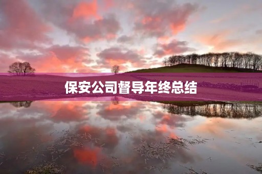 保安公司督导年终总结