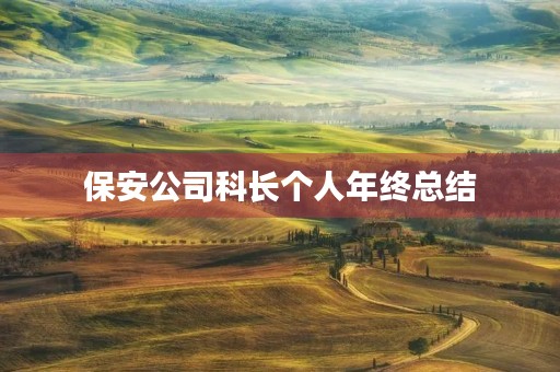 保安公司科长个人年终总结