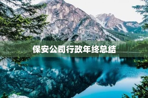 保安公司行政年终总结