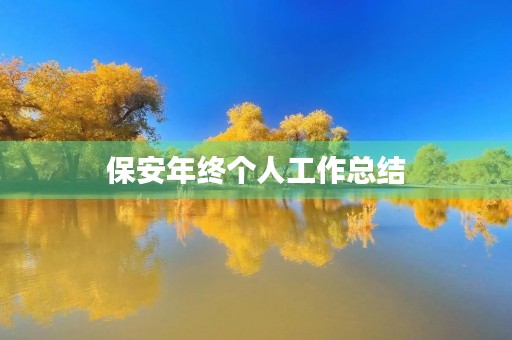 保安年终个人工作总结