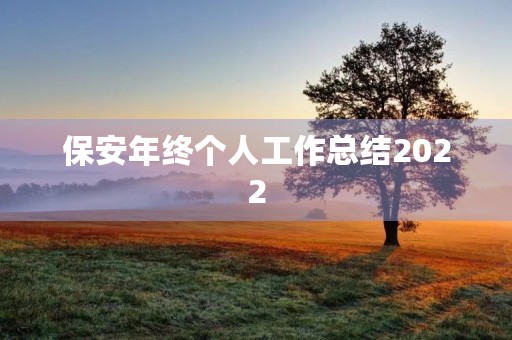 保安年终个人工作总结2022