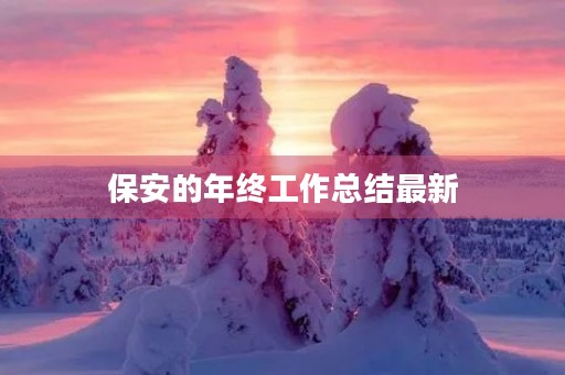 保安的年终工作总结最新