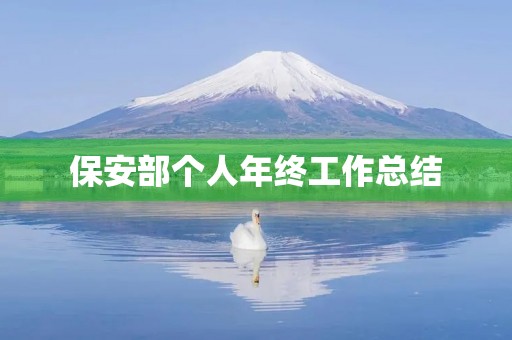 保安部个人年终工作总结