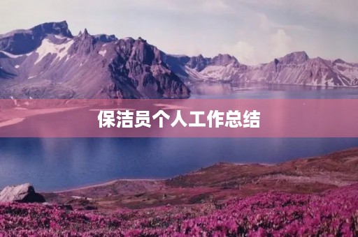 保洁员个人工作总结