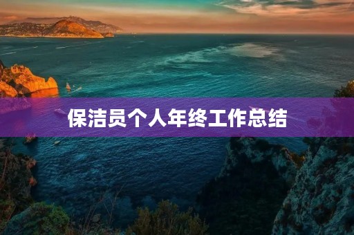 保洁员个人年终工作总结