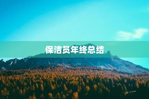 保洁员年终总结