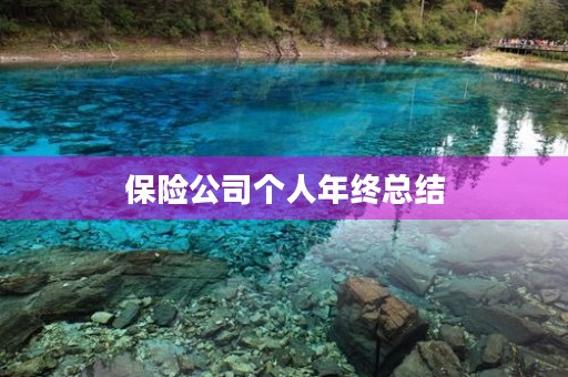 保险公司个人年终总结