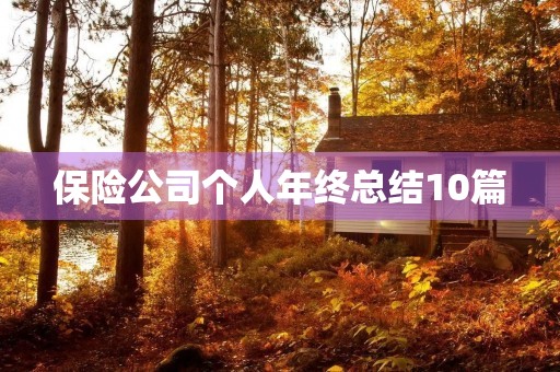 保险公司个人年终总结10篇