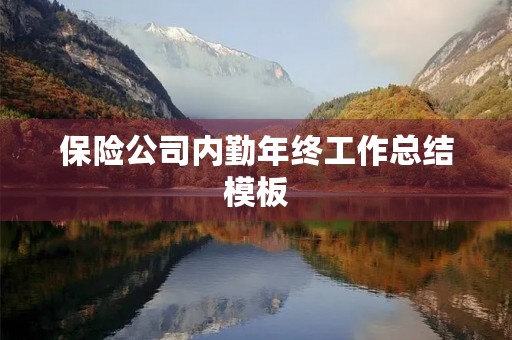 保险公司内勤年终工作总结模板