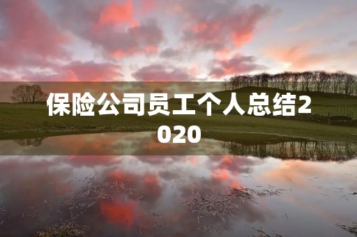 保险公司员工个人总结2020