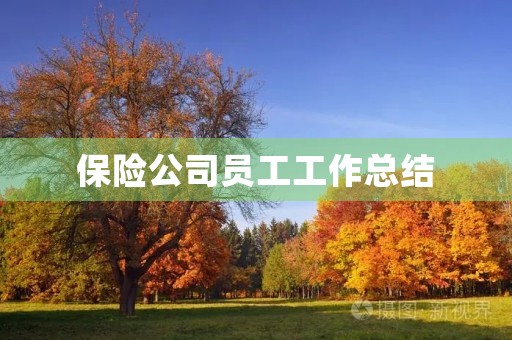 保险公司员工工作总结(7篇)