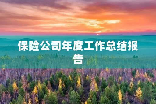 保险公司年度工作总结报告